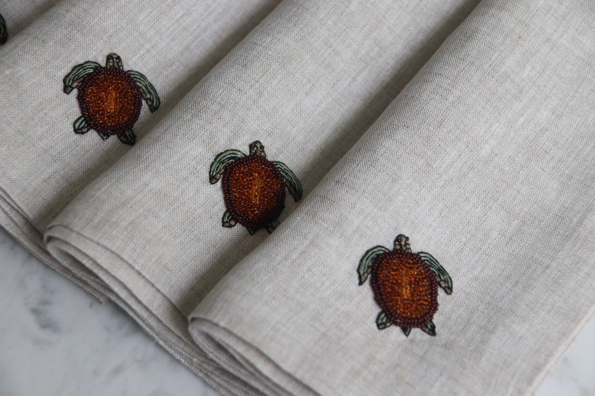 SET TORTUGAS